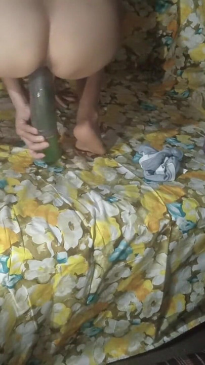 Recomendação especial para o vídeo dos meus fãs (holland lungis). holi vídeos está chegando em breve | Clipe 1