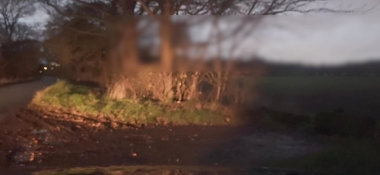 Telanjang dan bertelanjang kaki bersembunyi dari mobil yang lewat masturbasi dan twerking