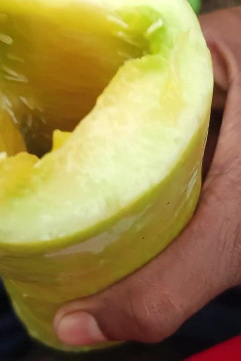 Desi Crna Zemlja
