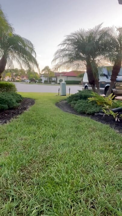Public Exposure in Side yard