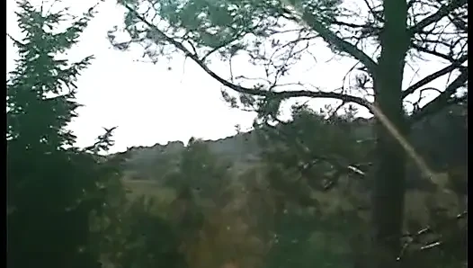 Busty blonde pussy licked and slammed outdoors