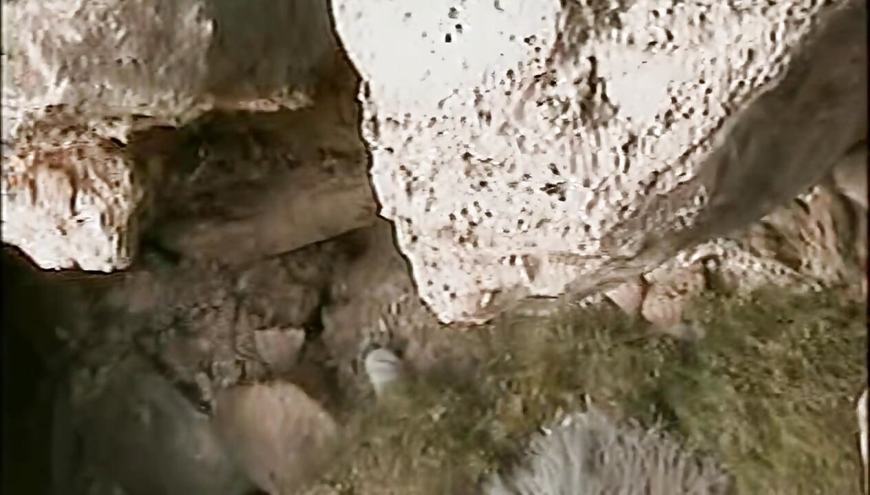 Horny Redhead Babe Fingers Pussy on Wild Beach