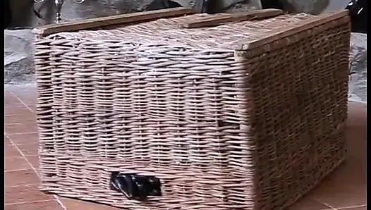 Sexy slut tied hand and foot and wildly fucked