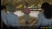 Pregled videozapisa