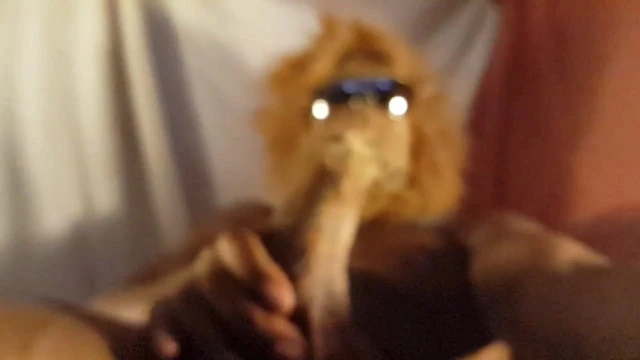 Angel The Lion shows off