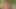 ما رأيك إذا هربنا معا لقضاء عطلة نهاية الأسبوع؟