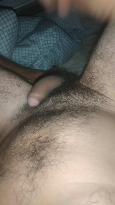 Hairy bear