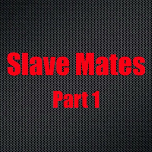 奴隷仲間 - 第1章