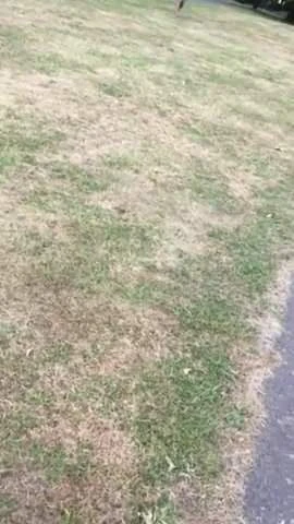 Hot Man outside with a big bulge