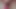Riding my pink dildo, mesmerising watching my cock and balls bouncin