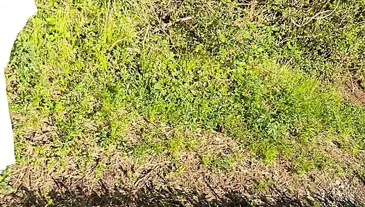 Im Wald Verloren… Und Plötzlich Wird Es Gefährlich Heiß