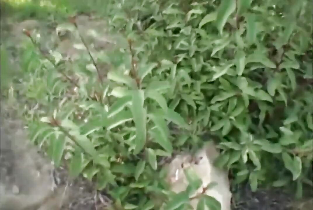 POV辣妹在懸崖上被幹