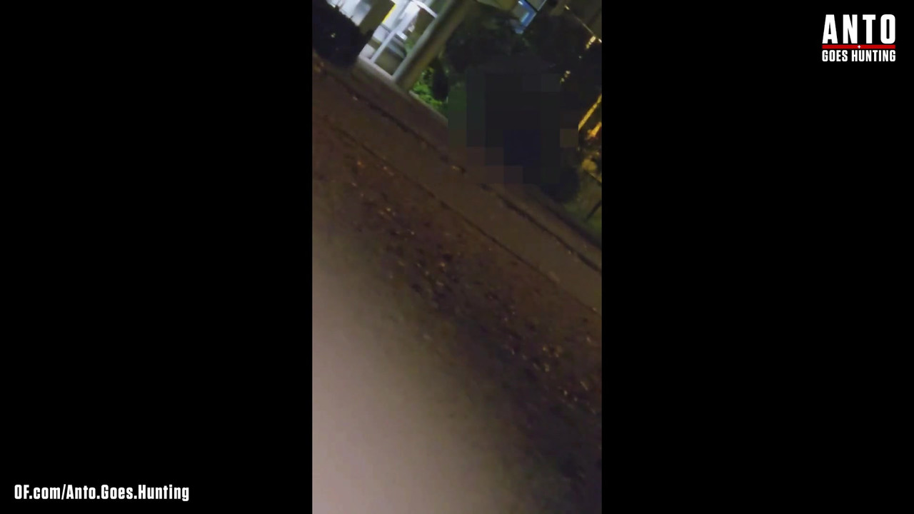 另一个保安走近并说服