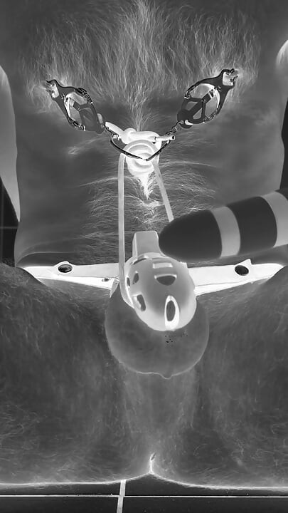 Multiple ruined orgasms in chastity cage with 30cm long penis plug