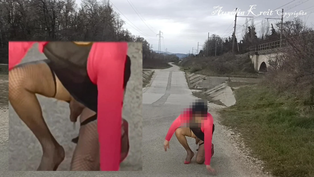 Na sve četiri na malom putu, pokazujem svoje dupe sa lepim crnim repom.