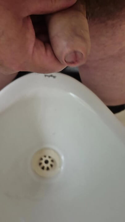 Public toilet wank