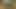 Anuskatzz fuck mrhankey dildo, anal fisting, show her pierced pussy & anal prolapse in the forest