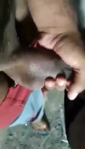 cock docking
