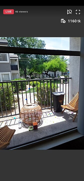 Daddies neighbor's know where to find a show