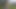Walking naked on public path and peeing