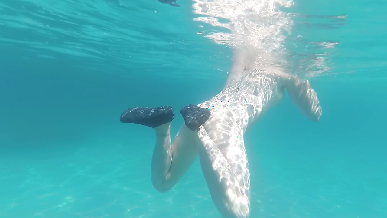 Mermaid caught