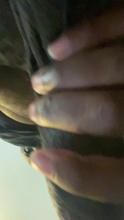 2025, new content
