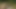 Picnic Turn Into Outdoor Sex