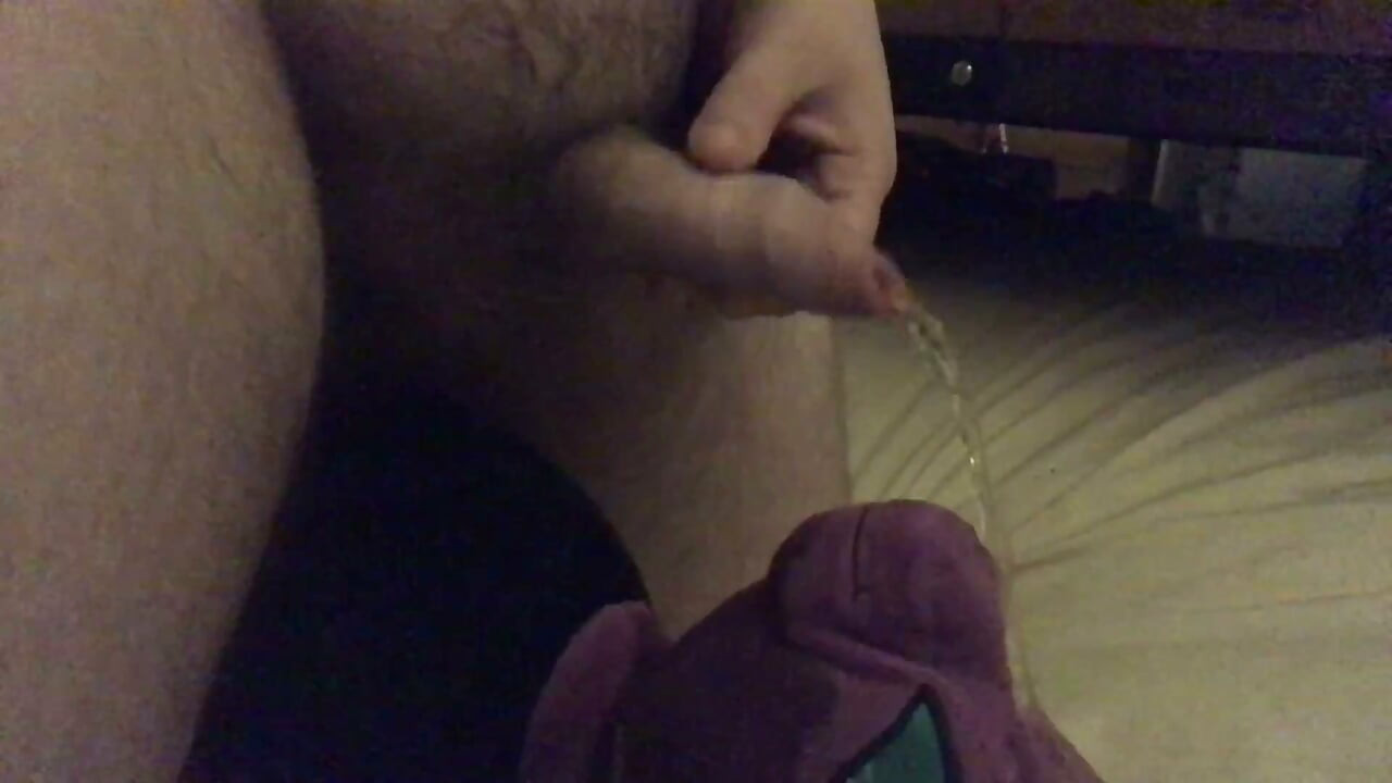 El peluche se empapa