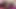 Wanita cantik besar bepergian ke new york city untuk mengadakan pertemuan rahasia dengan kekasihnya.