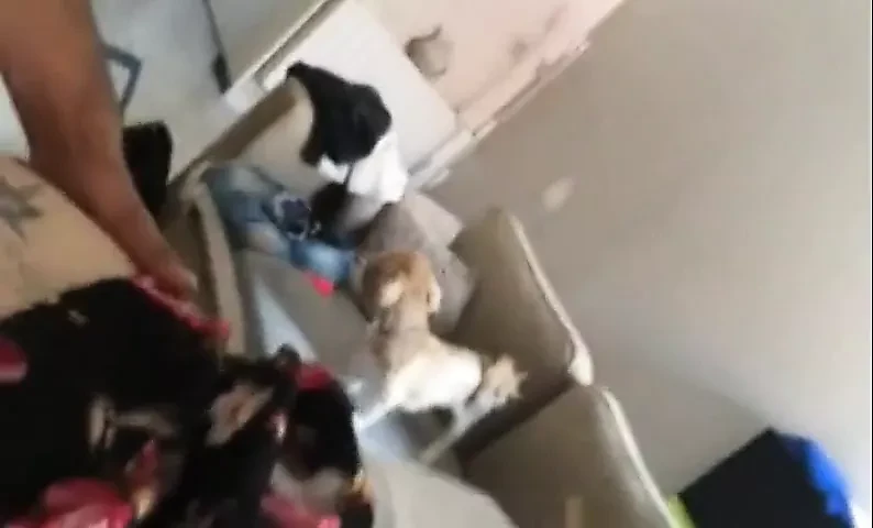 rooo la petite coquine !