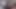アジアン・エンジェル27439