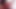 Blow me POV - Real-Life Amateur Blowjobs
