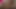 Shesnew seksi kız arkadaş annie amatör ev yapımı bakış açısı