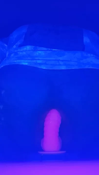 Furry rides uv toy under blacklight