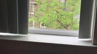 Szarpanie przed oknem