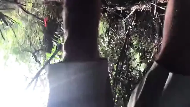 Sucked off in the woods