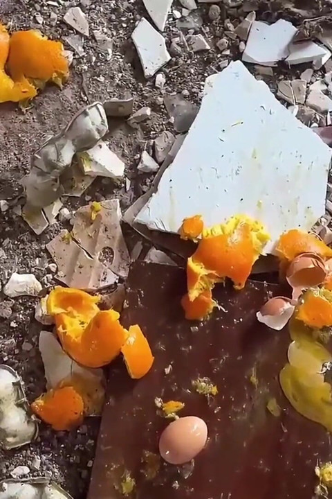 Crushed Under Heels