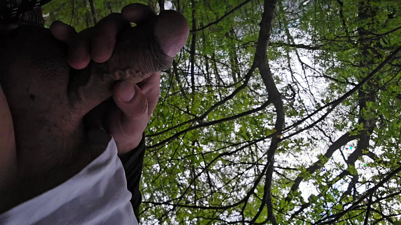 Lunch break in the nature