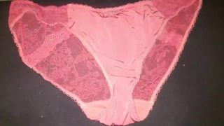 My Aunt's Panties Collection