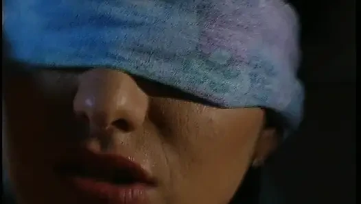 Hot Slutty Girl in Fishnet Balck Stockings Blindfolded and Fucked From Behind
