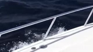 Ragazze calde brasiliane con culo caldo sulla barca