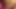 Dildo pink melayu