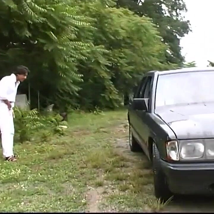 Çalıların arasında