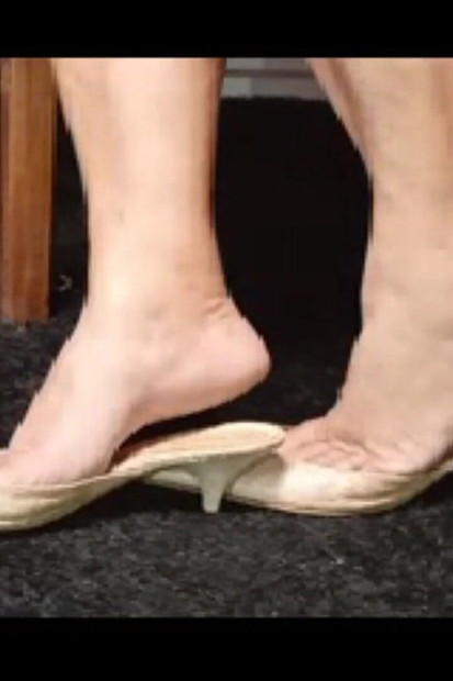 Mật Ong Với Con La Hồng 1