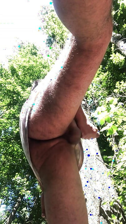 Point de vue dans les bois - Plaisir sauvage en plein air