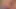Kali Roses, bella rolland ve brooke banner canlı bir altın şovda birbirlerinin amını yalıyor