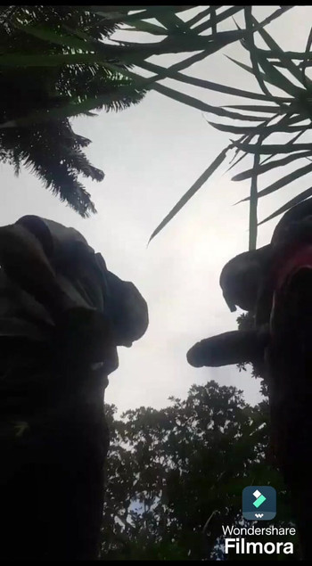 来自“和男友在灌木丛中”的惊心动魄时刻