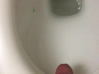 Faggot fucks toilet