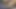 Arap model seksi Arap evli kadınla otel odasında sert sikiliyor