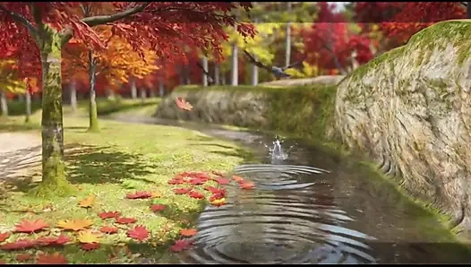 Ogre ve eşek ormanı